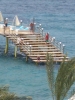 w11.jpg